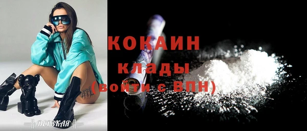 сатива Белокуриха