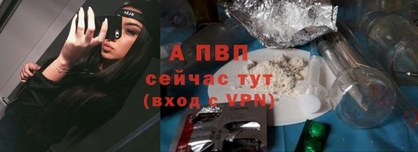 спайс Беломорск
