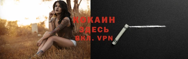молекула духа Богородск