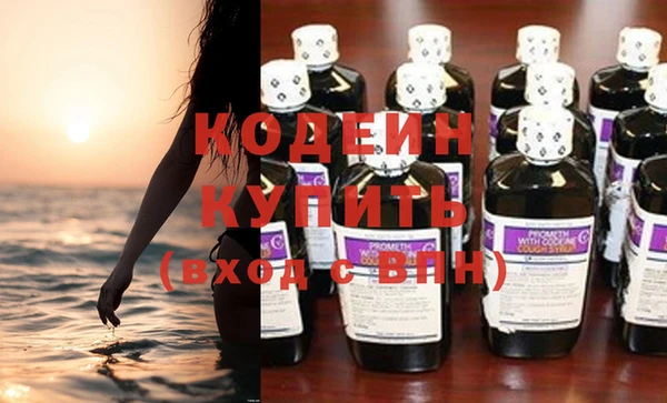 соль ск Сосновоборск
