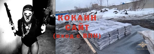 сатива Белокуриха