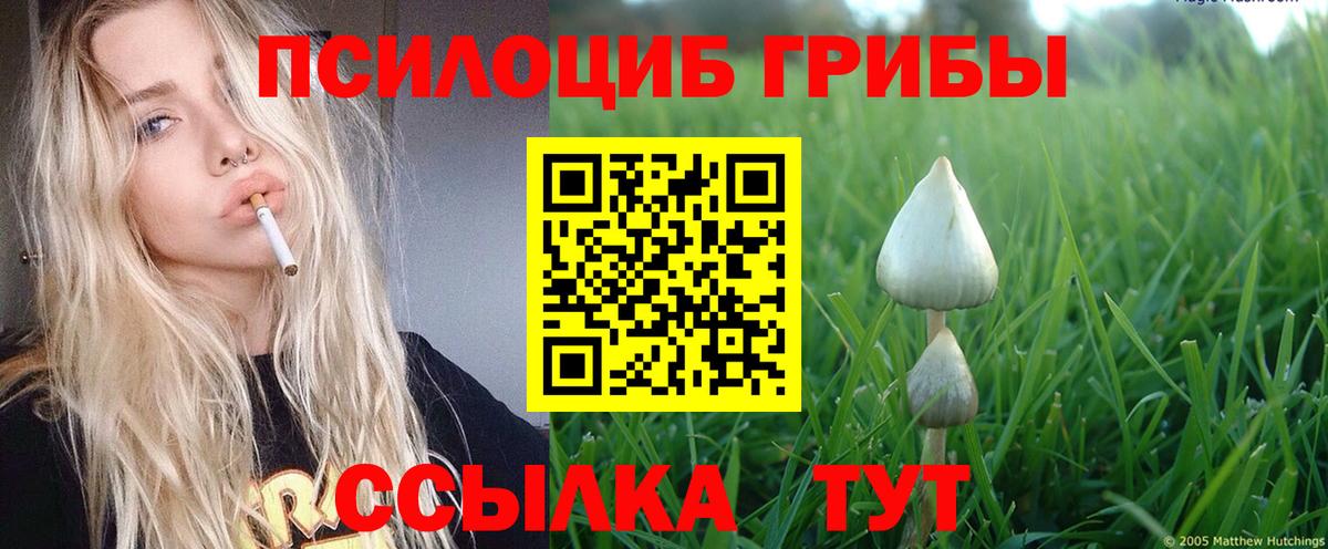 Галлюциногенные грибы Cubensis  Галлюциногенные грибы ЛСД  Вход с VPN  Гулькевичи 