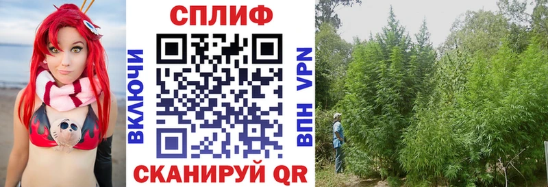 Бошки Шишки гибрид  Гулькевичи 